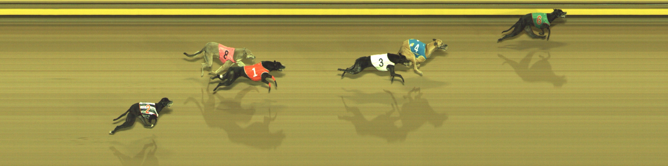 Race result finish photo